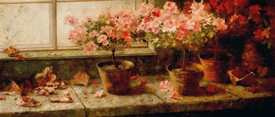 Flowering Azaleas by the Window by Marie Egner